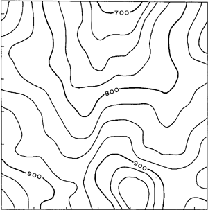Contour Map Vector 