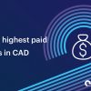 Money bag icon - highest paid CAD jobs