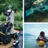 Scuba divers and dicing equipment