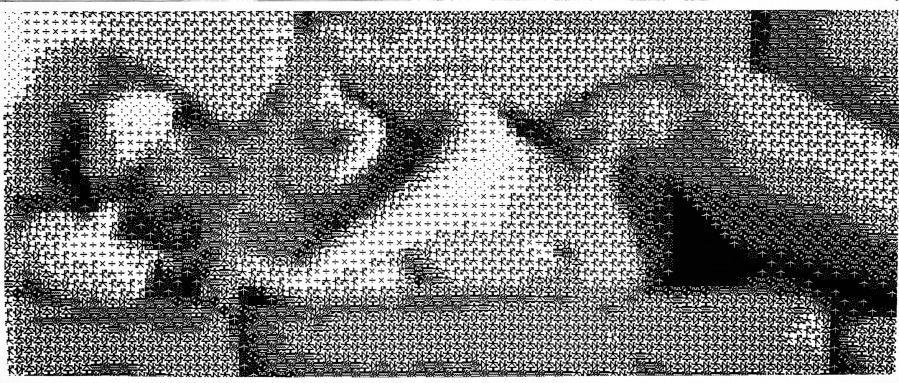 Studies in Perception