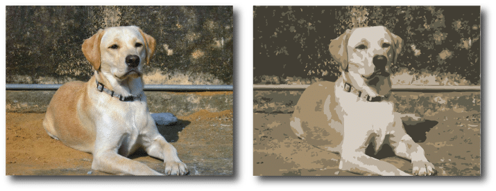 Live Trace in Adobe Illustrator